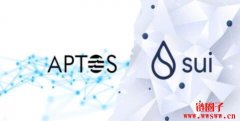 两大热门公链的竞争，Aptos 与Sui 的现状与差异