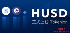 Husd（HUSD）是什么币？HUSD 如何工作？
