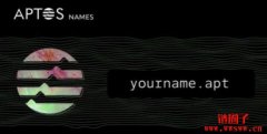 Aptos官方域名服务Aptos Name上线，开放