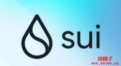 你的空投梦碎！Sui官方表示：目前没