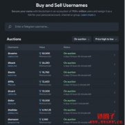 Telegram上线用户名拍卖市场Fragment，唯一支持Toncoin币支付！
