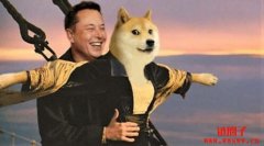 狗狗币的历史最高价（狗狗币历史价格走势）