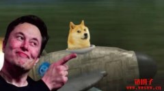 马斯克为何力挺DOGE？狗狗币是如何一