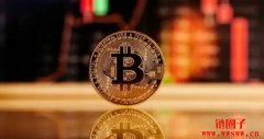 不止Bitcoin｜2022年7款较为人熟知的加