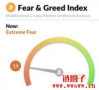 加密货币遇熊市：投资者应该怎么保护投资组合？