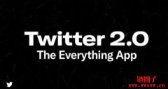 Twitter 2.0计划公布，将主打广告、加密私讯等，但支付页面空白