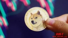 狗狗币Dogecoin(DOGE)的简单介绍，狗狗币可以做什么？