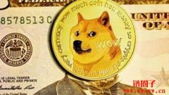 有多少狗狗币持有者？哪个国家拥有最多的狗狗币？