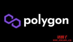 Matic是ERC-20币吗？Polygon是什么类型的