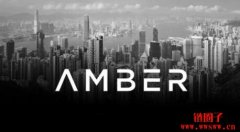 Amber Group已完成5000万美元融资，将暂停扩张专注高净
