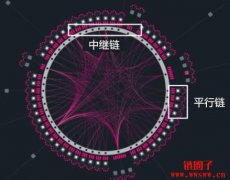 波卡Polkadot链是什么？波卡链上热门的生态应用