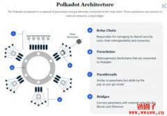 如何在波卡平台上创建去中心化应用程序？