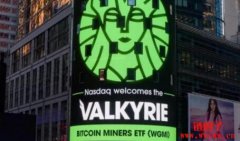 资产管理公司Valkyrie望成为GBTC的新管理者！建议降低