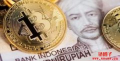 最快今年内上线！印尼要推出国家级