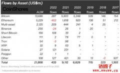 2022年加密资产基金的资金流入大减95%，达2018年以来的最低水平