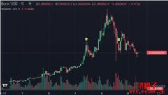 BONK开发人员烧毁团队总持仓，BONK仍难敌下跌趋势，过去24小时下跌50%