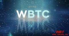 Wrapped Bitcoin（WBTC）是什么币？WBTC安全