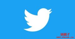 Twitter Coins功能再度曝光！透过Stripe开发Coins功能
