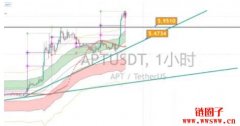 Aptos（APT）今年已经翻倍了，APT币为什么会涨？