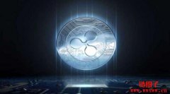 瑞波币是什么？如何获得？2024-2030年