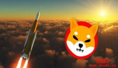 SHIB币单周暴涨近50%，大量新手进场抄