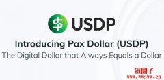 Pax Dollar（USDP）是什么币？USDP的主要用途有哪些？