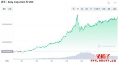 宝贝狗币BabyDoge历史价格分析，宝贝狗币值得投资吗？