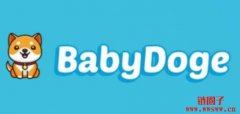 Baby Doge Coin（BabyDoge）是什么币？