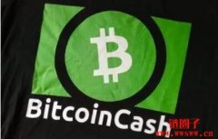 比特币现金/Bitcoin Cash(bch)代币交易数据介绍