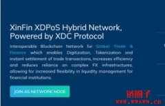 XDC(XDC Network)是什么币?XDC币总量有多少?
