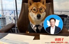 马斯克推特晒三张爱犬图！狗狗币涨