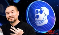 麻吉大哥为何也掉入巨鲸「套利陷阱」？散户玩家如何避开？