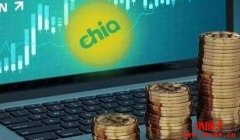 Chia（XCH）是什么币？XCH币总量有多少