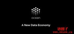 OCEAN（海洋协议）是什么币？