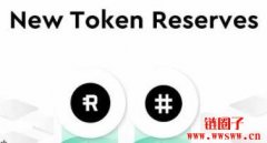 RSR（Reserve Rights）是什么币？
