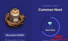 什么是Moonbirds？Moonbirds基本资讯