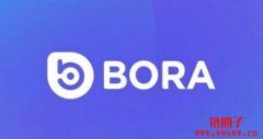 BORA（Bora）是什么币？