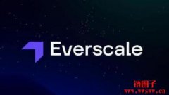 Wrapped Everscale（WEVER）是什么币？