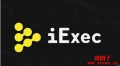 iExec RLC币（RLC）是什么币？