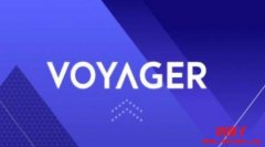 Voyager Token (VGX)是什么币？