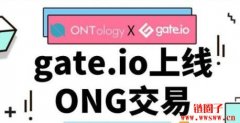ONG（Ontology Gas）是什么币？