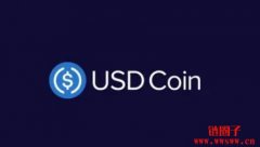 Venus USDC（vUSDC）是什么币？