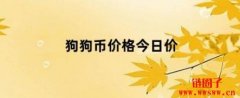 DOGE币多少钱一枚|Dogecoin价格实时行情|狗狗币现时仍值得买入吗？