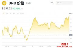 BNB多少钱一枚|BNB价格实时行情|如何购