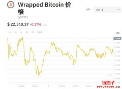 WBTC币多少钱一枚|Wrapped Bitcoin价格实时