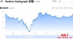 HBAR多少钱一枚|Hedera价格实时行情|HBAR币总量有多少