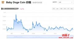 BabyDoge多少钱一枚|BabyDoge价格实时行情|BabyDoge币总量有多少