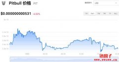 PIT多少钱一枚|PIT价格实时行情|PIT币简