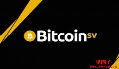 Bitcoin SV（BSV）币是什么？值得投资吗？和比特币有何差别？