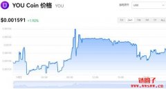YOU Coin今日价格|YOU价格实时行情|YOU币简单介绍